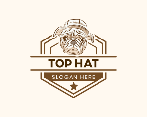 Dog Pet Veterinary logo design