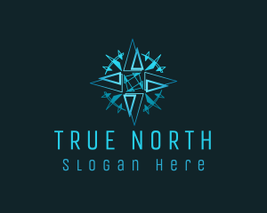 Blue Directional Compass logo design