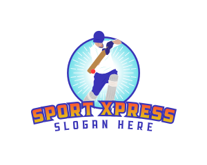 Varsity Cricket Player logo