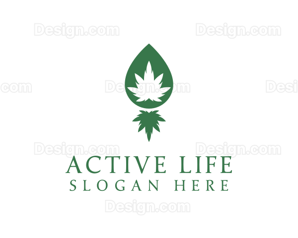 Medical Marijuana Herb Logo