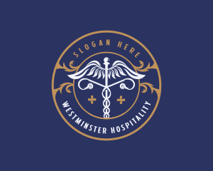 Caduceus Medical Healthcare logo design