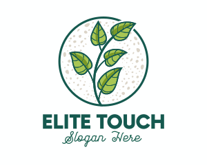 Green Tropical Leaves logo design