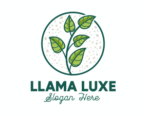 Green Tropical Leaves logo design