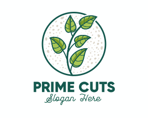 Green Tropical Leaves logo design