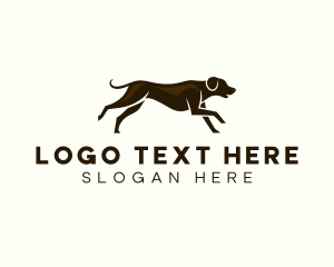 Dog Pet Vet Logo