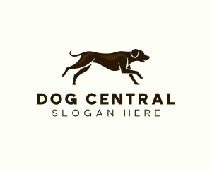 Dog Pet Vet logo design