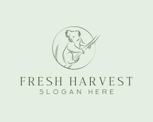 Koala Tree Drawing logo design