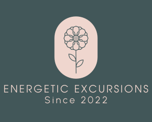 Daisy Flower Garden logo design