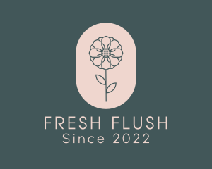 Daisy Flower Garden logo design