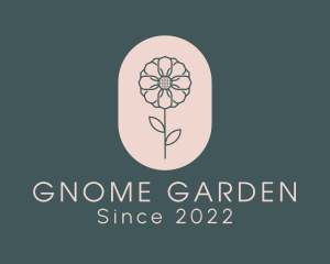 Daisy Flower Garden logo design