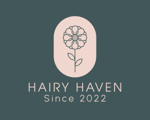 Daisy Flower Garden logo design