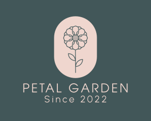 Daisy Flower Garden logo design