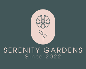 Daisy Flower Garden logo design