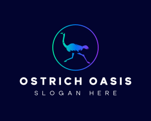 Ostrich Bird Aviary logo design