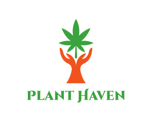 Cannabis Plant Hands logo design