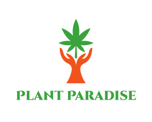 Cannabis Plant Hands logo design