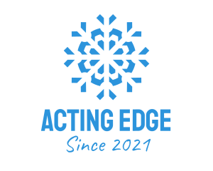 Blue Cooling Ice Snowflake  logo design