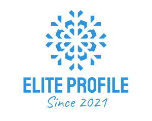 Blue Cooling Ice Snowflake  logo design