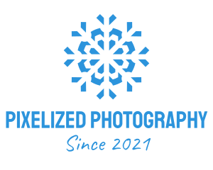 Blue Cooling Ice Snowflake  logo design