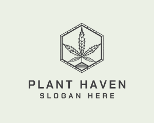 Marijuana Plant Farm logo design