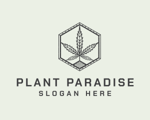 Marijuana Plant Farm logo design