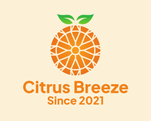 Orange Citrus Fruit  logo