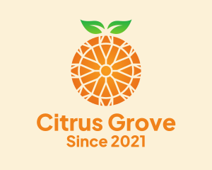 Orange Citrus Fruit  logo design