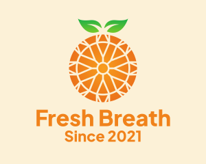 Orange Citrus Fruit  logo design