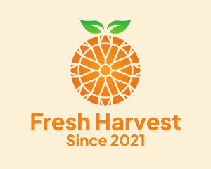 Orange Citrus Fruit  logo