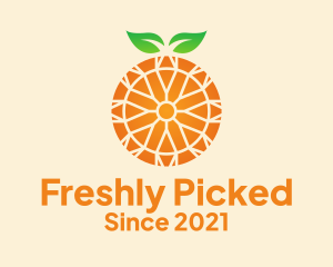 Orange Citrus Fruit  logo design