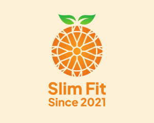 Orange Citrus Fruit  logo design