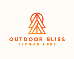 Orange Pine Tree logo design