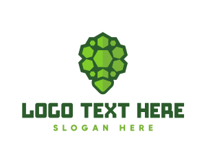 Turtle Shell Protection logo
