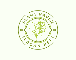 Natural Botanical Plant logo design