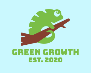 Cute Green Chameleon logo design