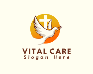 Holy Cross Dove logo