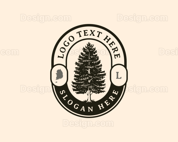 Korea Pine Tree Logo