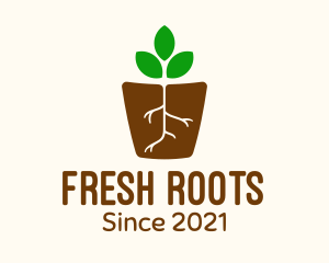 Root Pot Plant logo design