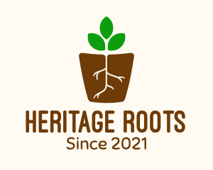 Root Pot Plant logo design