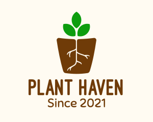 Root Pot Plant logo design