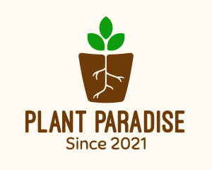 Root Pot Plant logo design