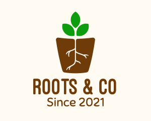 Root Pot Plant logo design