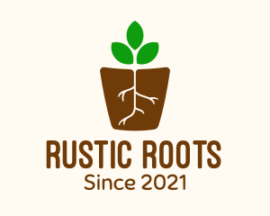 Root Pot Plant logo design