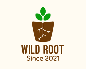 Root Pot Plant logo design