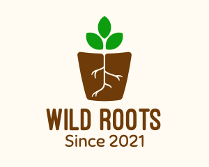 Root Pot Plant logo design