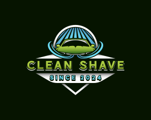 Car Wash Cleaning logo design