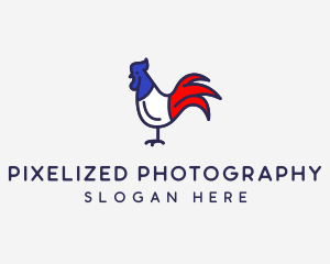 France Chicken Rooster logo design