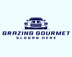 Car Transportation Detailing logo design