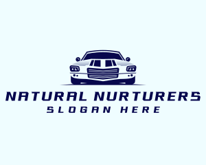 Car Transportation Detailing logo design