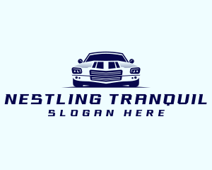 Car Transportation Detailing logo design